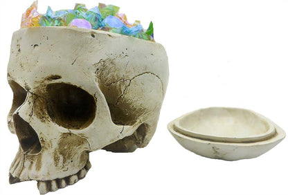 CUZOKOLA Larger 6.9" Human Skull Candy Dish with Lid,Big Skull Candy Jar,Skull Head Decor Statue Resin Mold for Halloween Skull Candy Bowl,Skull Home Decoration,White Skull Skeleton Bowl Sculpture
