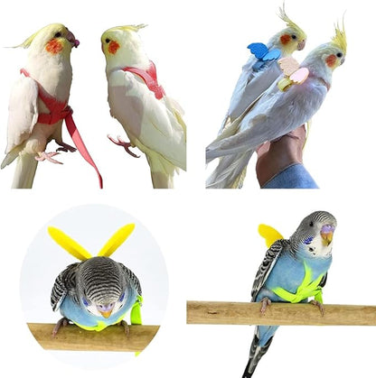 Birds Adjustable Harness and Leash, Parrot Outdoor Flying Training Traction Rope Straps with Cute Wing for Small Animal Birds, Parrots, Pigeons, Lizard, Turtles (L,Green)