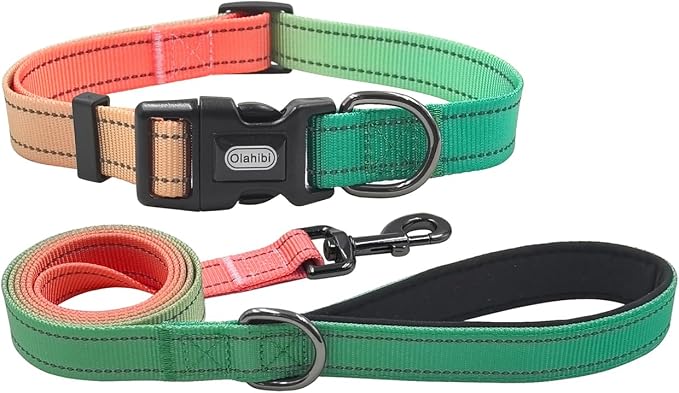 Dog Collar Leash Set, Gradient Color, with Safety Reflective Strips, 5 ft Matching Leash, Neoprene Padded Handle, Adjustable 4 Sizes for Small Medium Large Dogs.(S, Green Orange)