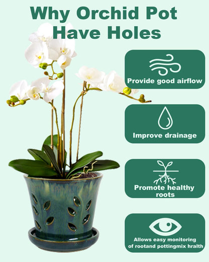 vensovo 5.5 Inch Ceramic Orchid Pot - Orchid Pot with Holes for Repotting, Ceramic Planter with Saucer for Indoor/Outdoor Plants, Green