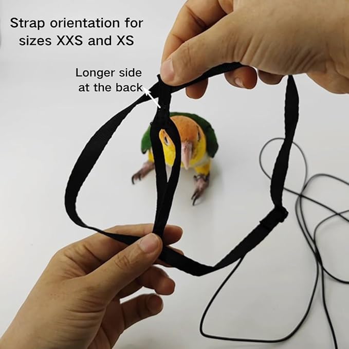Adjustable Bird Harness and Leash for Parrots Outdoor Flight Training Anti-Bite Light Weight Easy-to-Wear Bird Vest with 59 Inch Elastic Leash for Quaker Conure African Grey Macaw Cockatoo (XL)