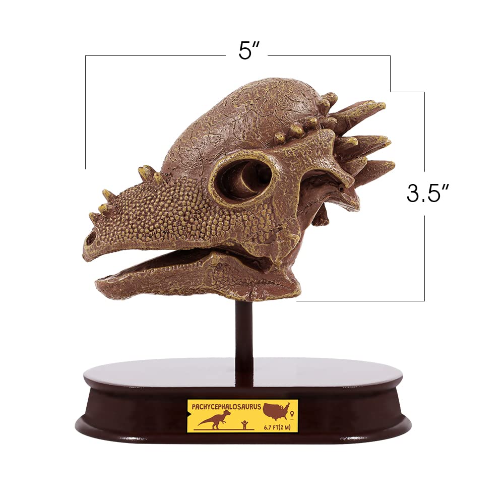 ArtCreativity Dinosaur Excavation Kit for Kids, 5.5” Pachycephalosaurs Skull Excavating Set with Fossil Digging Tools and Stand, Fun Science Activity Toy, Educational Dinosaur Gift for Boys and Girls