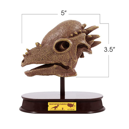 ArtCreativity Dinosaur Excavation Kit for Kids, 5.5” Pachycephalosaurs Skull Excavating Set with Fossil Digging Tools and Stand, Fun Science Activity Toy, Educational Dinosaur Gift for Boys and Girls