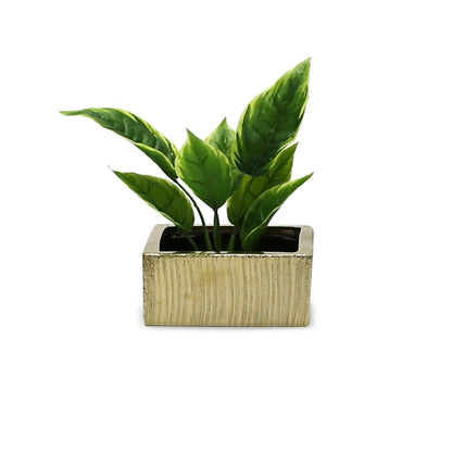 WGV Gold Scratched Square Ceramic Vase, Width 8", Height 4", Elegant Morden Short Square Pan Floral Planter Terrarium Pot Container Tabletop for Event Accent Home Decor 1 Piece