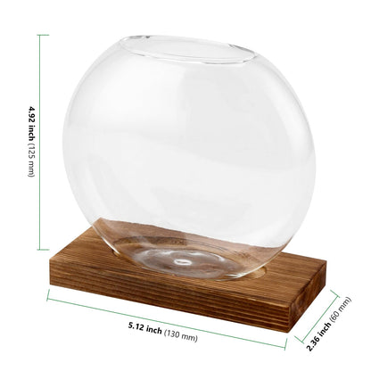 HAKZEON 4 Pack Desktop Round Glass Planter Hydroponics Vase, Glass Planter Terrarium Flower Vase with Wooden Stand, Propagated Plant Jars for Plants, Flower, Home Office Desktop Decor