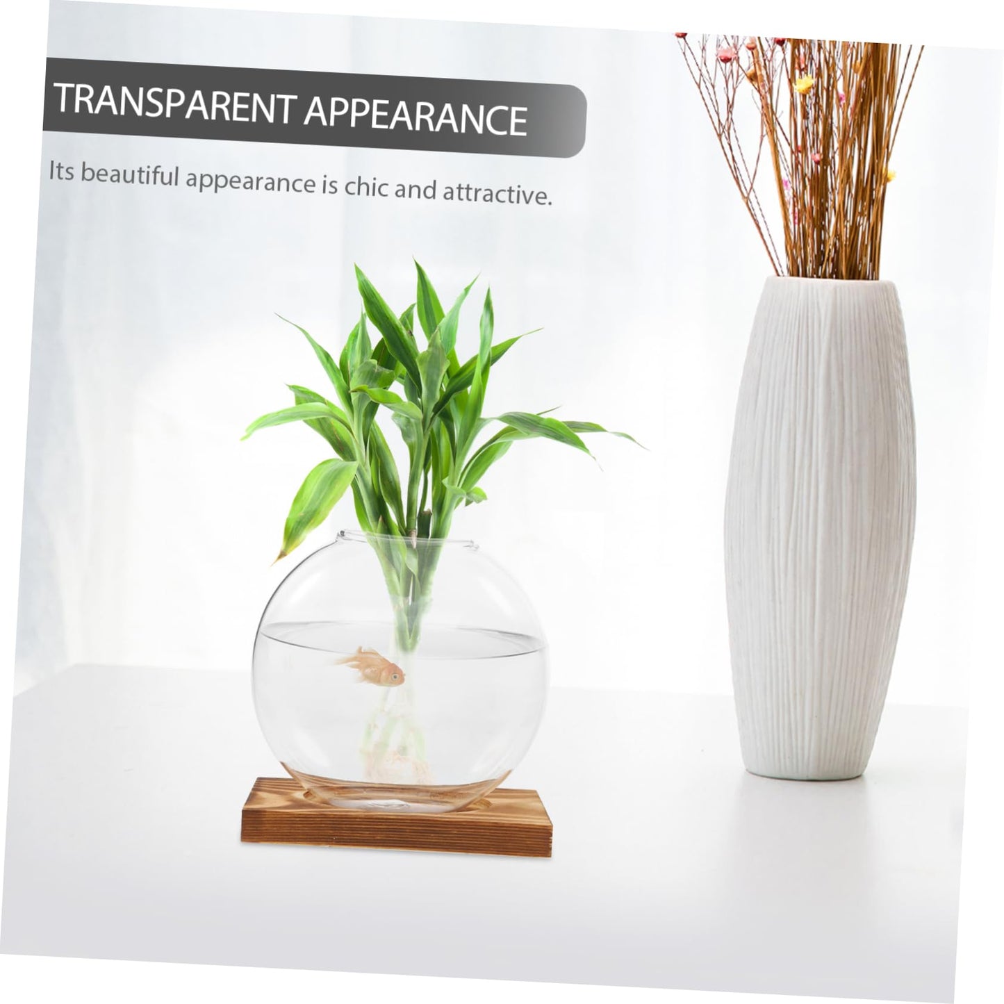 Totority Desktop Hydroponic Glass Plant Propagation Station with Transparent Vase and Wooden Base Soil Indoor Terrarium for Home Office Decoration and Tea Ceremony Display