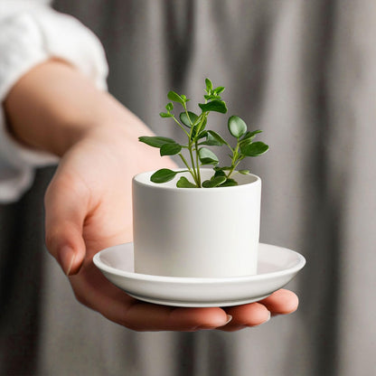 YUFDA 4 Pack Ceramic Plant Saucer Pot Tray 4 Inch, Planter Saucers with Scratch Pad Indoors&Outdoor Durable Sturdy Flower Drainage drip Water Tray for Glazed Pots Base (4.72 Inch-White)