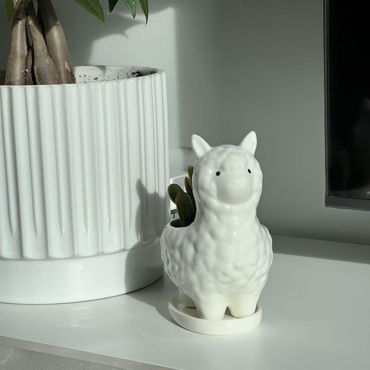 Succulent Planter Pot with Drainage Hole – White Ceramic Animal Pot for Small Plants, Cactus, Flowers – Indoor Outdoor Garden Patio Balcony Decor, Cute Gardening Gift, 6 Inch