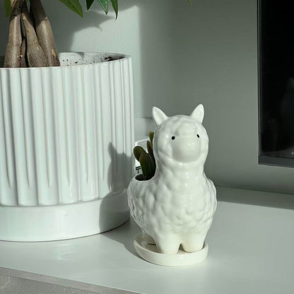 Succulent Planter Pot with Drainage Hole – White Ceramic Animal Pot for Small Plants, Cactus, Flowers – Indoor Outdoor Garden Patio Balcony Decor, Cute Gardening Gift, 6 Inch