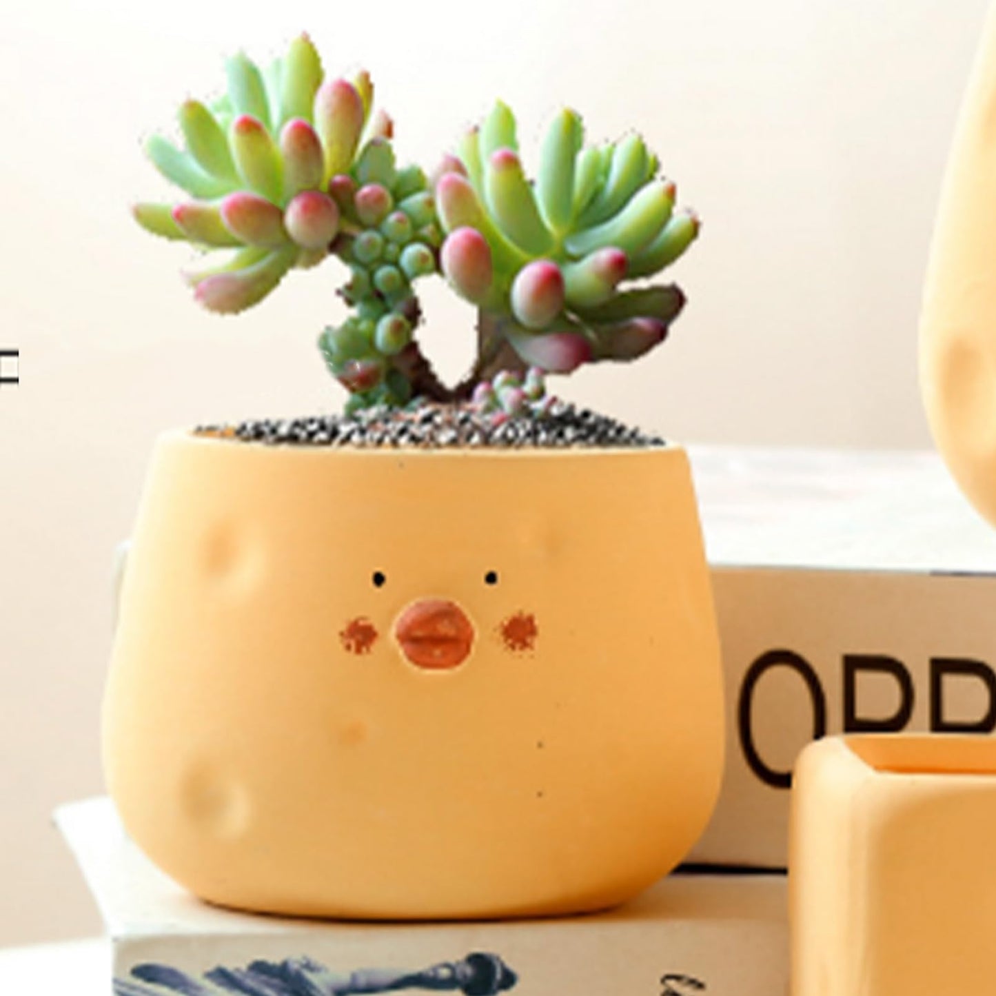 TOPINCN Yellow Chicken Planter Ceramic Cute Flower Pot Cartoon Chick Planter Pot for Indoor Outdoor Home Garden Decoration (Bowl Shape)