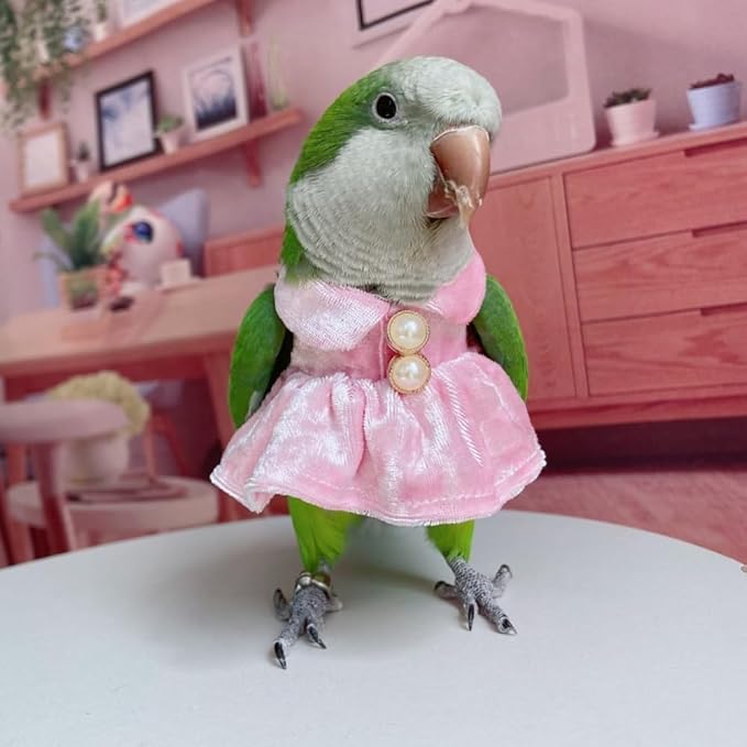 Bird Costume Bird Diaper Flight Suit Parrot Velvet Fleece Skirt Clothes Cosplay Photo Prop for Conure Lovebird Parakeet Cockatiel Macaw Small Animals Apparel (Pink,Small)