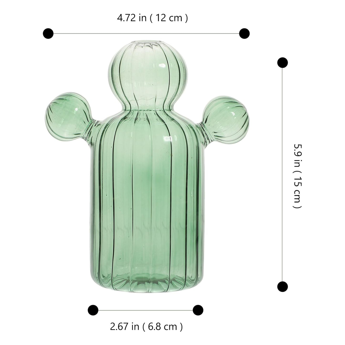 SOESFOUFU Glass Cactus Terrarium Vase Narrow Neck Hydroponic Plant Pot Decorative Glass Flower Vase for Home Table Centerpiece Green