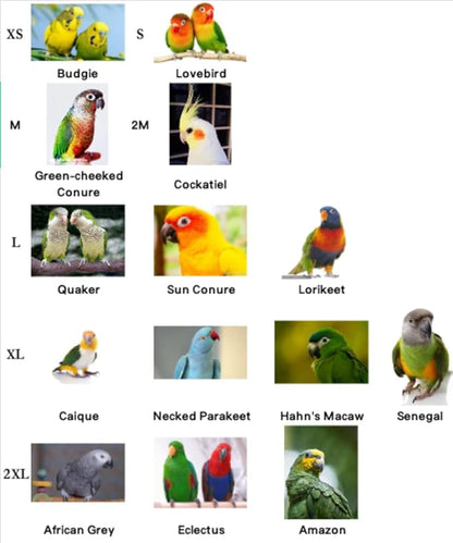 Bird Flight Harness Vest, Snap-Fastener Design Harness Vast, Parrot Flight Suit with Leash for Parakeets Budgies, Bird Flying Clothes with Rope and Handle for Outdoor Activities Training, Anti Bite