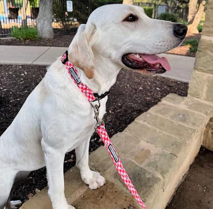 Lucky Love Dog - Adjustable Dog Collar with Easy Click Buckle for Small Ones, Durable, & Comfortable for Male & Female Dogs, Pet Collar for Puppies & Adult Dogs - Bailey, XS