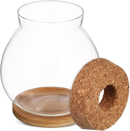 Balacoo Desktop Hydroponic Fish Bowl - Clear Glass Fish Tank with Bamboo Cushion and Wood Lid, Small Betta Fish Plants Terrarium for Home and Office Plant Decoration
