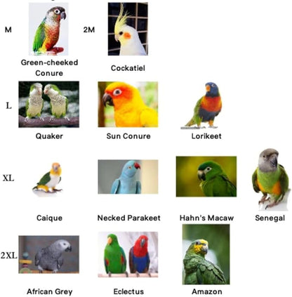 Bird Costume Bird Diaper Flight Suit Cute JK Dress Dress Skirt Clothes Cosplay Photo Prop for Parrots Macaw Cockatoo (with Diaper,2M)