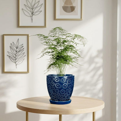 Hollyone 6 Inch Blue Ceramic Planter Flower Plant Pot with Drainage Hole and Saucer for Plants Embossed Indoor Outdoor Garden Embossed Ceramic Glazed Round Pot for Succulent Orchid Sunshine Pattern