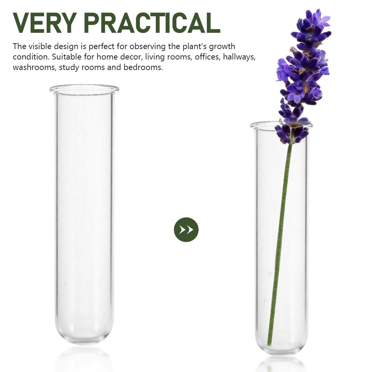 DOITOOL 5Pcs Glass Test Tube Vases 2.5X3X11Cm Hydroponic Propagation Tubes Small Plant Terrarium Vase for Home Décor and Floral Display
