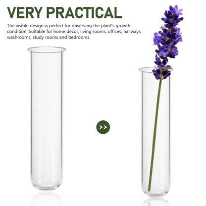 DOITOOL 5Pcs Glass Test Tube Vases 2.5X3X11Cm Hydroponic Propagation Tubes Small Plant Terrarium Vase for Home Décor and Floral Display