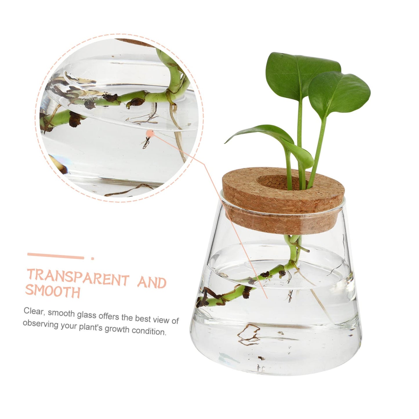 Zerodeko 2pcs Glass Eco Bottle Small Plant Vase for Indoor Terrarium Decoration Water Plants Home Decor Vase