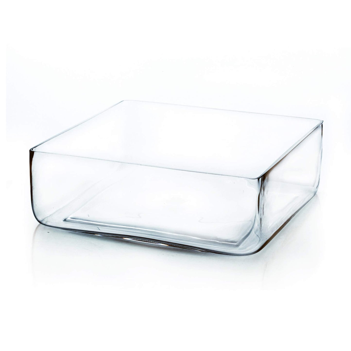 WGV Square Block Glass Vase, Length 12", Height 4", Clear Large Planter Terrarium, Floral Container for Wedding Party Event, Home Office Decor, 1 Piece