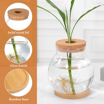 POPETPOP Desktop Glass Fish Bowl - Round Small Fish Tank with Wood Stopper & Bamboo Mat, Clear Glass Betta Fish Bowl for Succulent Plants, Hydroponic Air Plant (5.1X5.5 in)