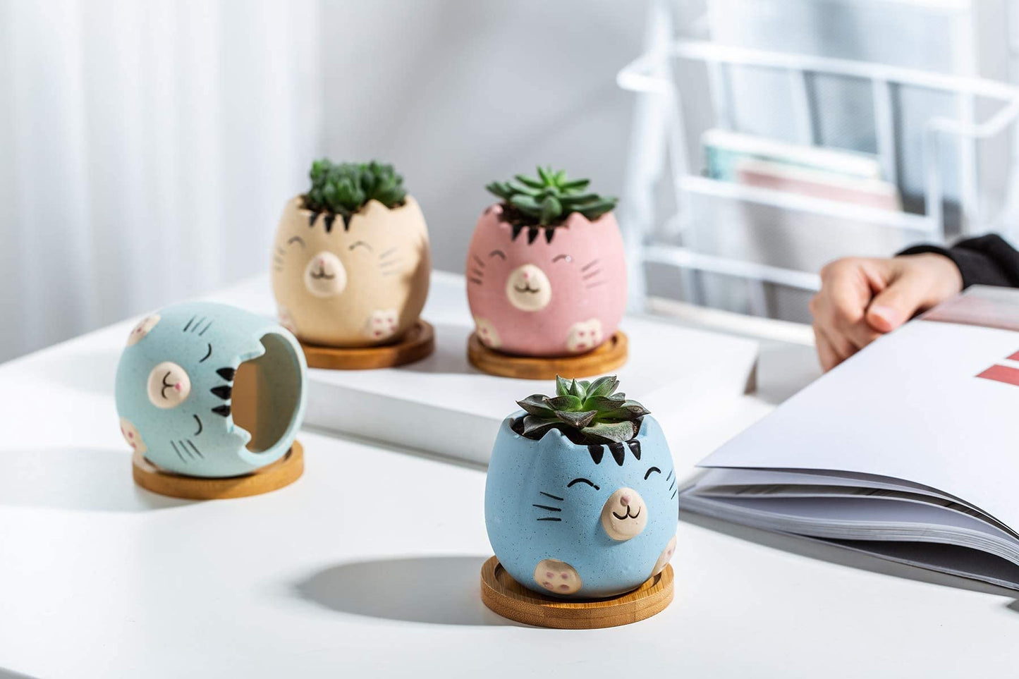 6Pack 3.4inch Small Ceramic Animal Planter Pots for Baby Succulent with Drainage and Bamboo Tray (Matte Cats)