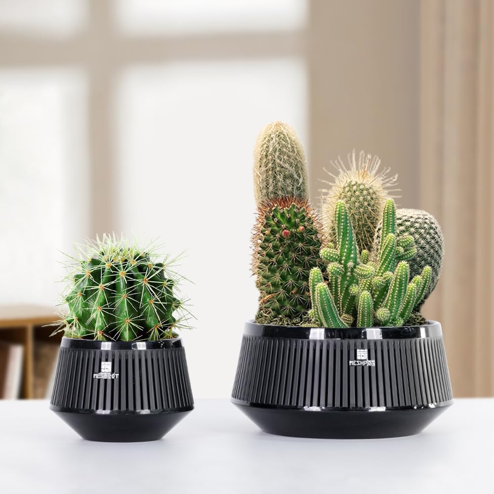 Meshpot 5 Inch Bonsai Pots with Drainage Tray, Set of 2, Plastic Imitate Ceramic Bonsai Tree Pot with Excellent Airflow, Black Succulent Pots for Indoor Plants, Juniper, Ficus, Chinese Elm, Cactus