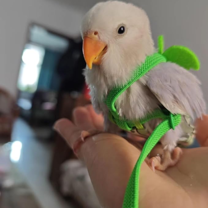Adjustable Bird Diaper Harness Flight Suit Clothes with 80 Inch Flying Leash Rope for Parrots Conure Cockatiel (Yellow,XS)