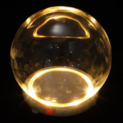ABOOFAN Clear Glass Cloche Globes Display Dome Bell Jar with Wood Base LED Light 10cm DIY Craft Present Keepsake Globe Display Case Terrarium for Valentines Day Preserved Flower Plant Succulent