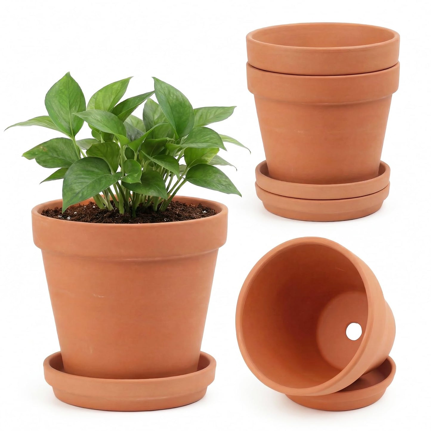 Riseuvo 6 Inch Terracotta Pots with Saucers – 4 Pack Medium Clay Flower Pots with Drainage Hole，Clay Pot for Succulents, Cactus and Indoor Plants, Wedding Favors