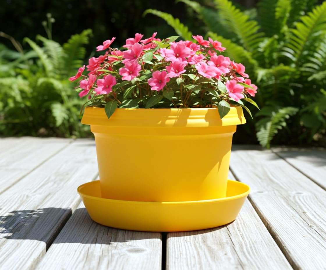 Austin Planter Single Pot with Saucer, 9 inch Yellow, Plastic Flower Pot with Saucer, Seedlings Planter, Nursery Planter, Colorful Flower Planter, Seed Starting Pot