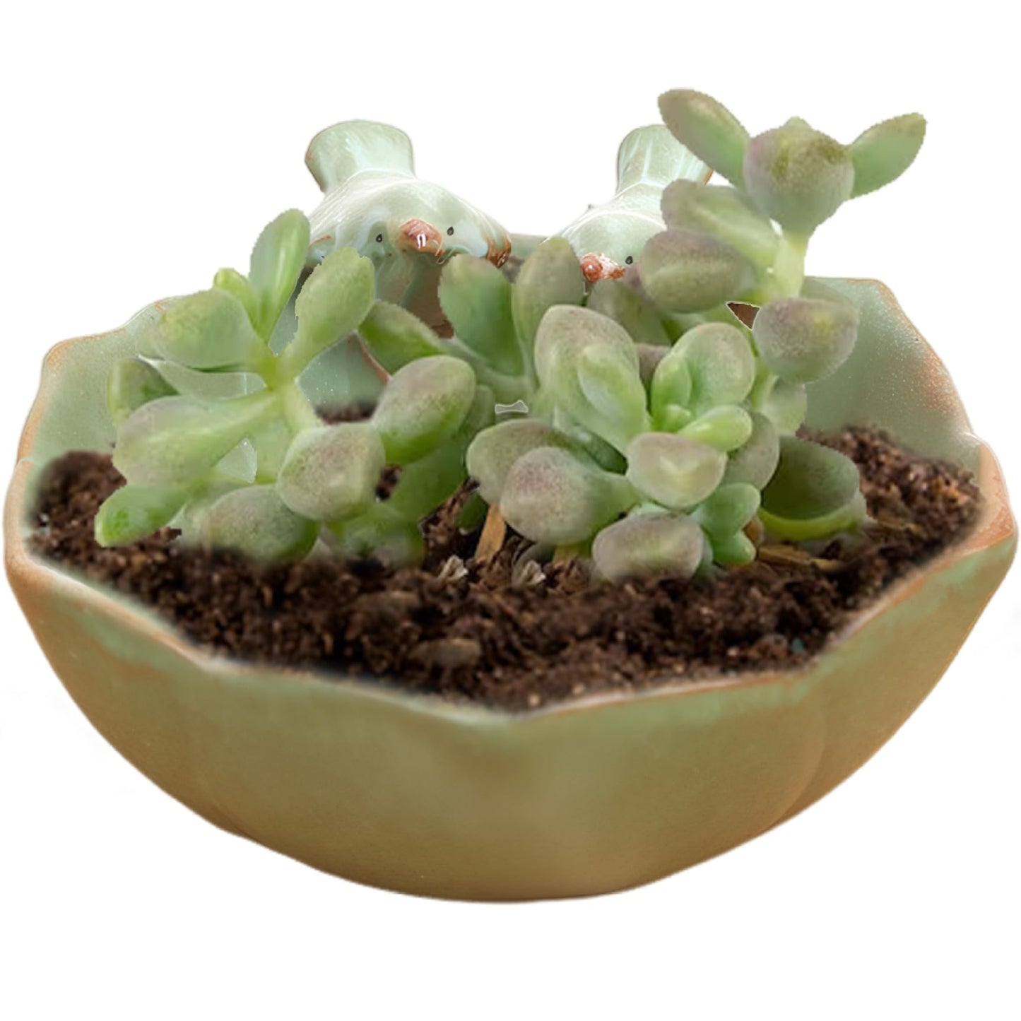 CurcKua Suculentas Pot with 2 Adorable Birds Planter DIY Flower Planting Garden Pots Ceramic Round Hollow Planter for Home Indoor Outdoor Garden Decor Pots