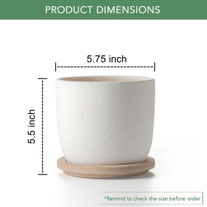 POITONRU Ceramic Flower Pots Indoor-Outdoor: 5.75 Inch Planters with Drainage Holes & Saucer - Modern Decorative Plant Pots Ceramic for Home Gardeners (White)
