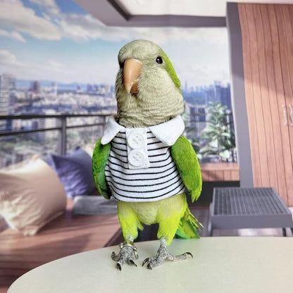Bird Costume Flight Suit Summer Clothes Cosplay Photo Prop for Parrots Lovebird Parakeet Cockatiel Small Animals Apparel (Without Diaper, Amazon)
