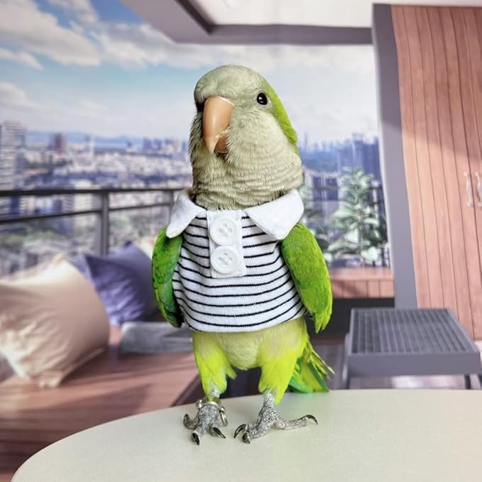 Bird Diaper Flight Suit for Parrots, Lovebirds, Parakeets & Cockatiels - Summer Clothes Cosplay Photo Prop - Small Animal Apparel (with Diaper, Cockatiel)