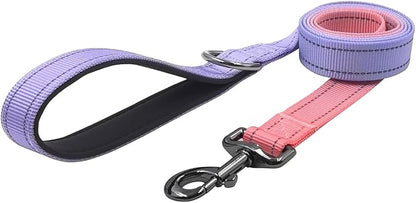 Dog Collar Leash Set, Gradient Color, with Safety Reflective Strips, 5 ft Matching Leash, Neoprene Padded Handle, Adjustable 4 Sizes for Small Medium Large Dogs.(L, Lilac Pink)