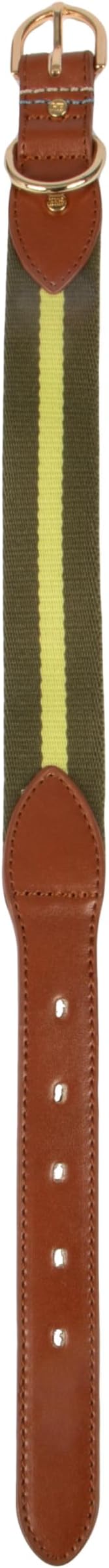 Harry Barker Green Pieced Stripe Buckle Collar - Medium