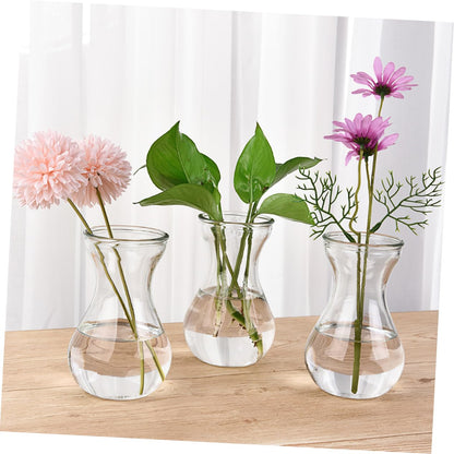Hemobllo 5Pcs Desktop Glass Planter Decorative Vases for Home Office Unique Terrarium Design for Flower Arrangement Plant Display for Tabletop Shelf Decor