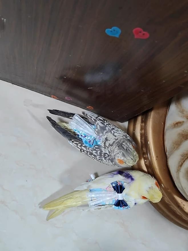Bird Flight Suits Diapers, Parrot Flight Suits Diapers for Monk Parakeets, Cockatiels Flight Suits, Parrot Clothes, Bird Training Nappy Suit Liners Clothes (Large,Blue-C)