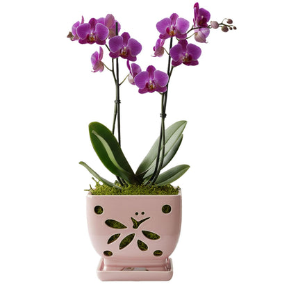 Grdthzey Orchid Pots with Holes Square Ceramic Orchid Planter Pots 5.5 inch (Pink)