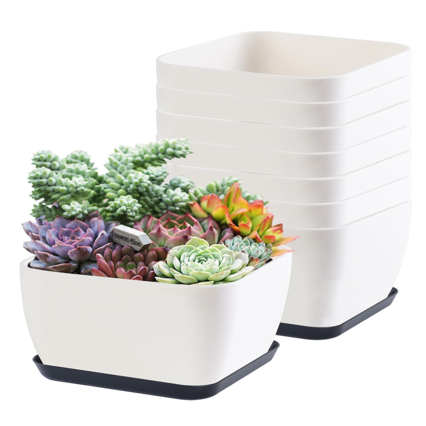 Succulent Pots 6 Inch Shallow Herb Planters with Drainage Hole - 8 Packs Cactus Planter for Home Office Garden Plants Pot Present - Plants Not Included (Off White)