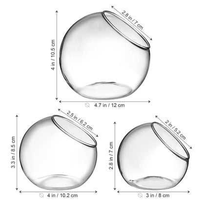 VANZACK 3pcs Round Glass Terrarium Vases Stylish Air Plant Containers for Home Office Decor Beveled Opening for Easy Plant Display for DIY Projects and Centerpieces