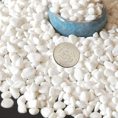 TOYPOPOR Mini White Rocks Stone Decorative Pebbles Vase Fillers Succulents Cactus Bonsai DIY Plant Rock Garden Outdoor Indoor Gravel for Aquarium, Terrarium, Fairy Gardening, Top Dressing 6lbs