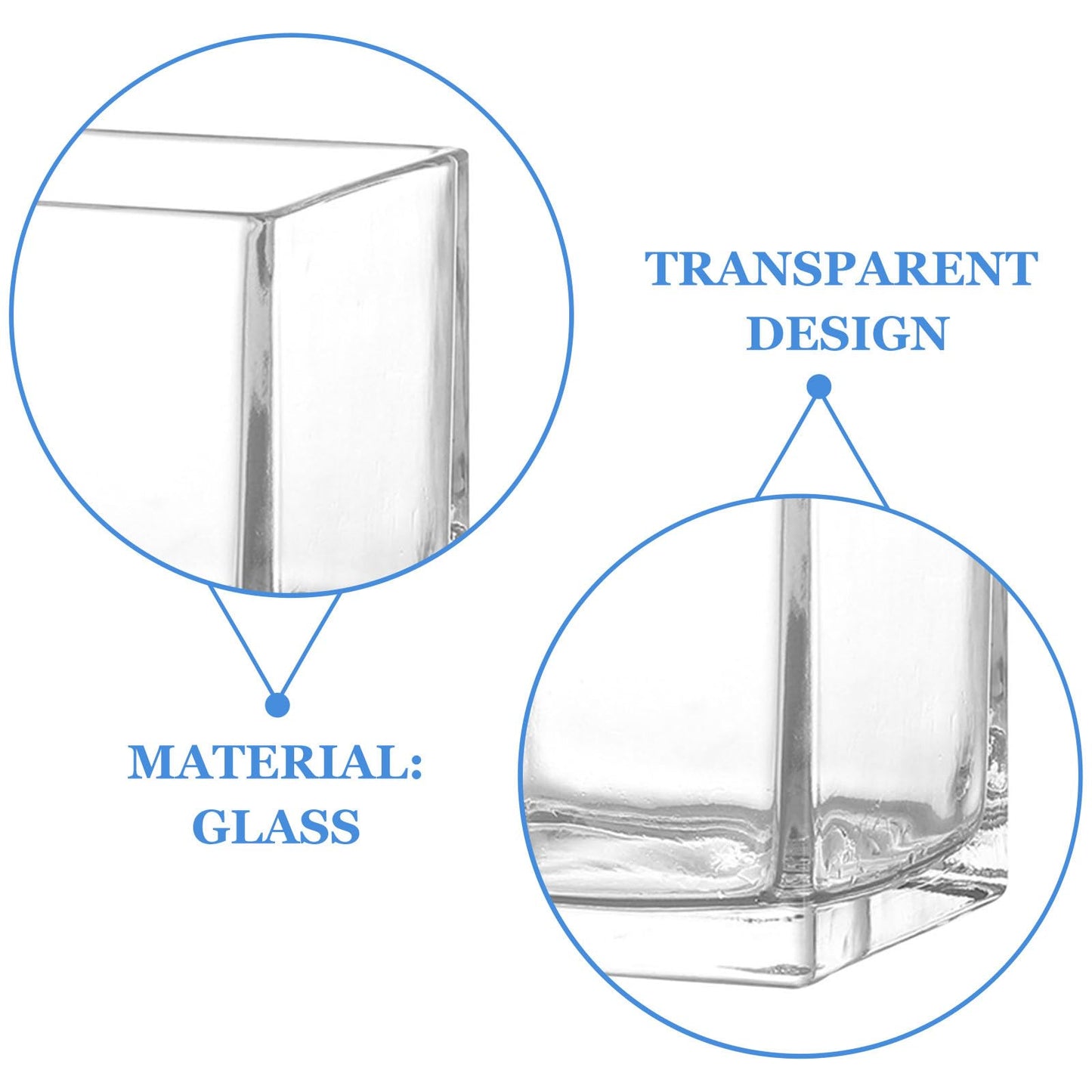 INOOMP Square Glass Hydroponic Vase 10x10cm Thick Cube Flower Vase for Home Desk Decor, Glass Plant Terrarium Bottle for Modern Indoor Gardening