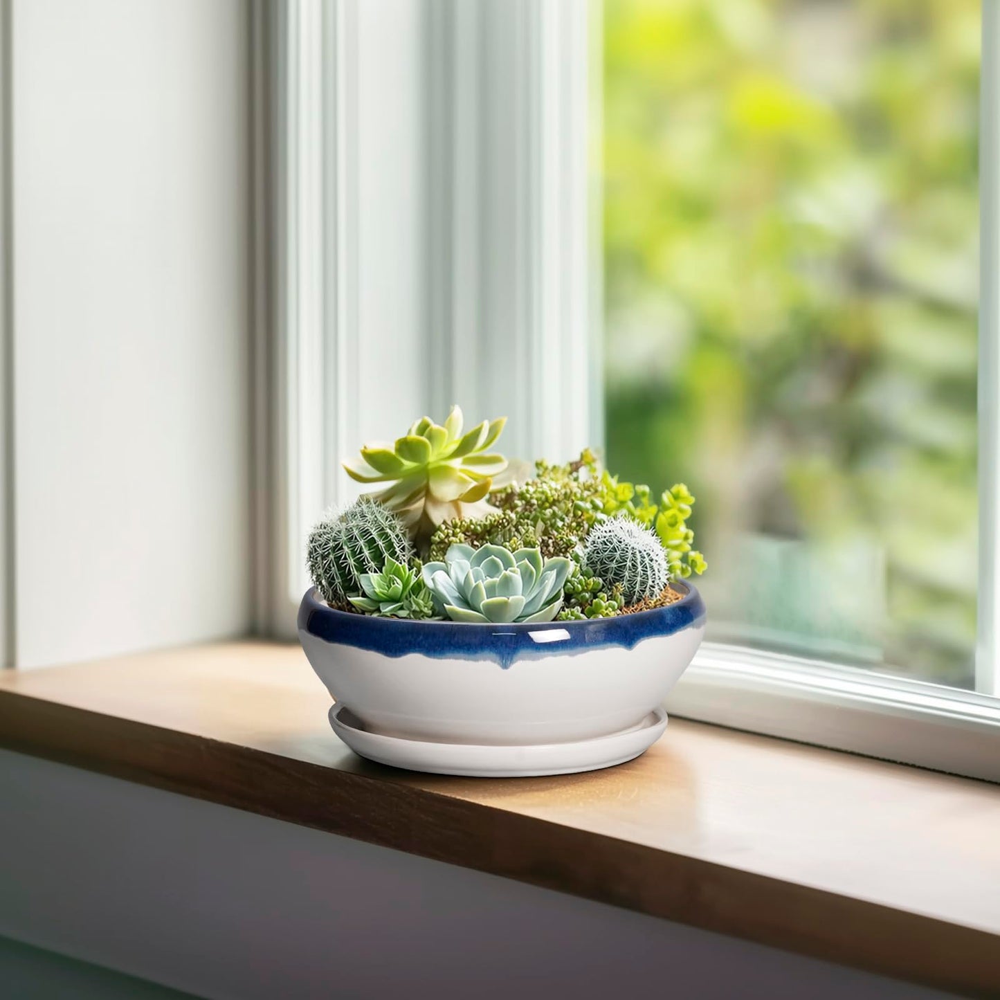 SQOWL Succulent Planters 6 Inch - Ceramic Bonsai Pots with Drainage Hole and Saucer, Round Shallow Planter for Indoor Plants, Ceramic Cactus Pot, Apartment Decor, Gifts for Women, Blue Off-White