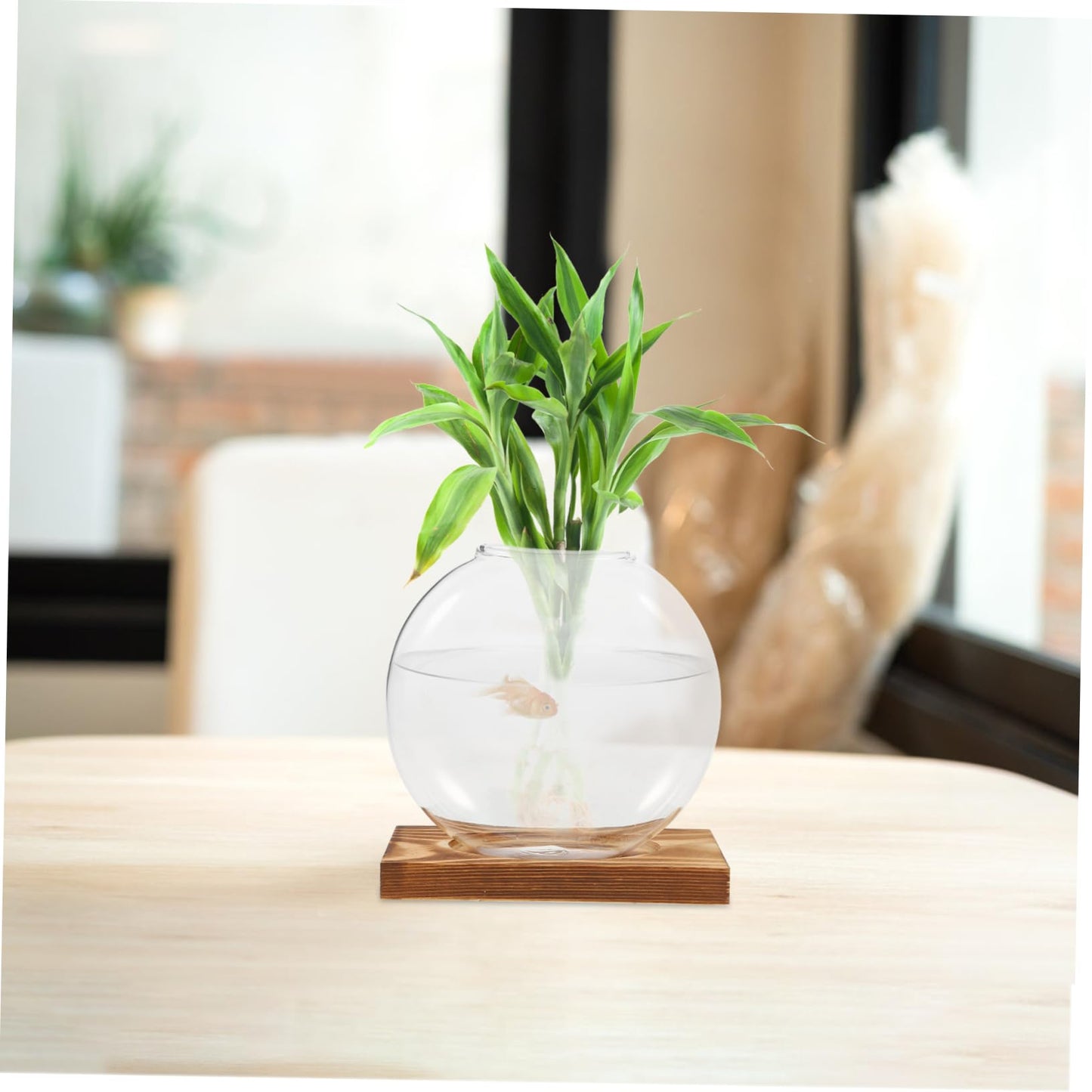 KESYOO Creative Hydroponic Vase with Transparent Glass Pot and Wooden Base for Soilfree Plant Propagation Indoor Terrarium and Elegant Flower Display Easy Setup and Maintenance