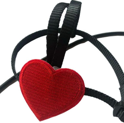 Adjustable Birds Harness and Leash Parrot Harness Leash Training Supplies Pet Anti-bite Outdoor Flying Rope for Conures Budgerigar Lovebird Cockatiel Mynah (M)