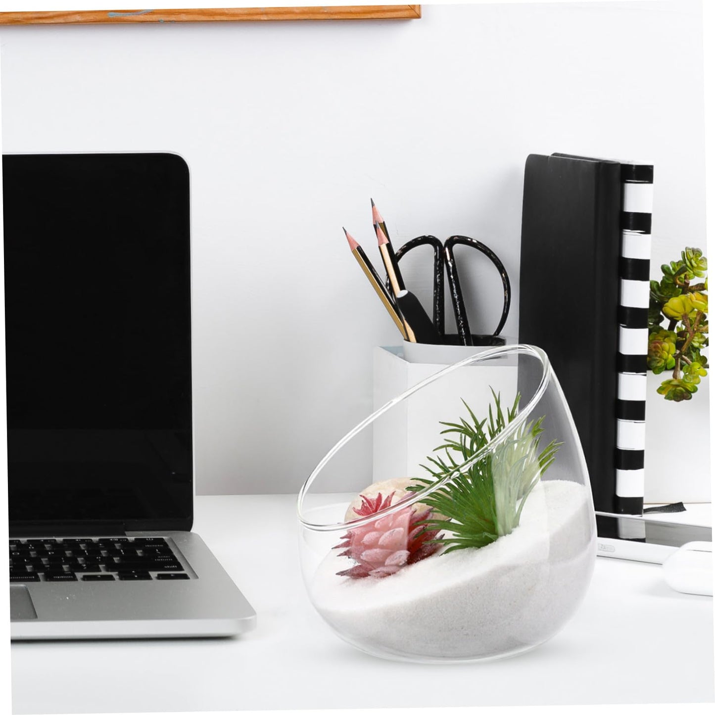 MOTHNUR Micro Landscape Ecological Bottle Transparent Glass Terrarium for Succulent Plants Elegant Decor Durable Eco-Friendly Design Nature Lovers