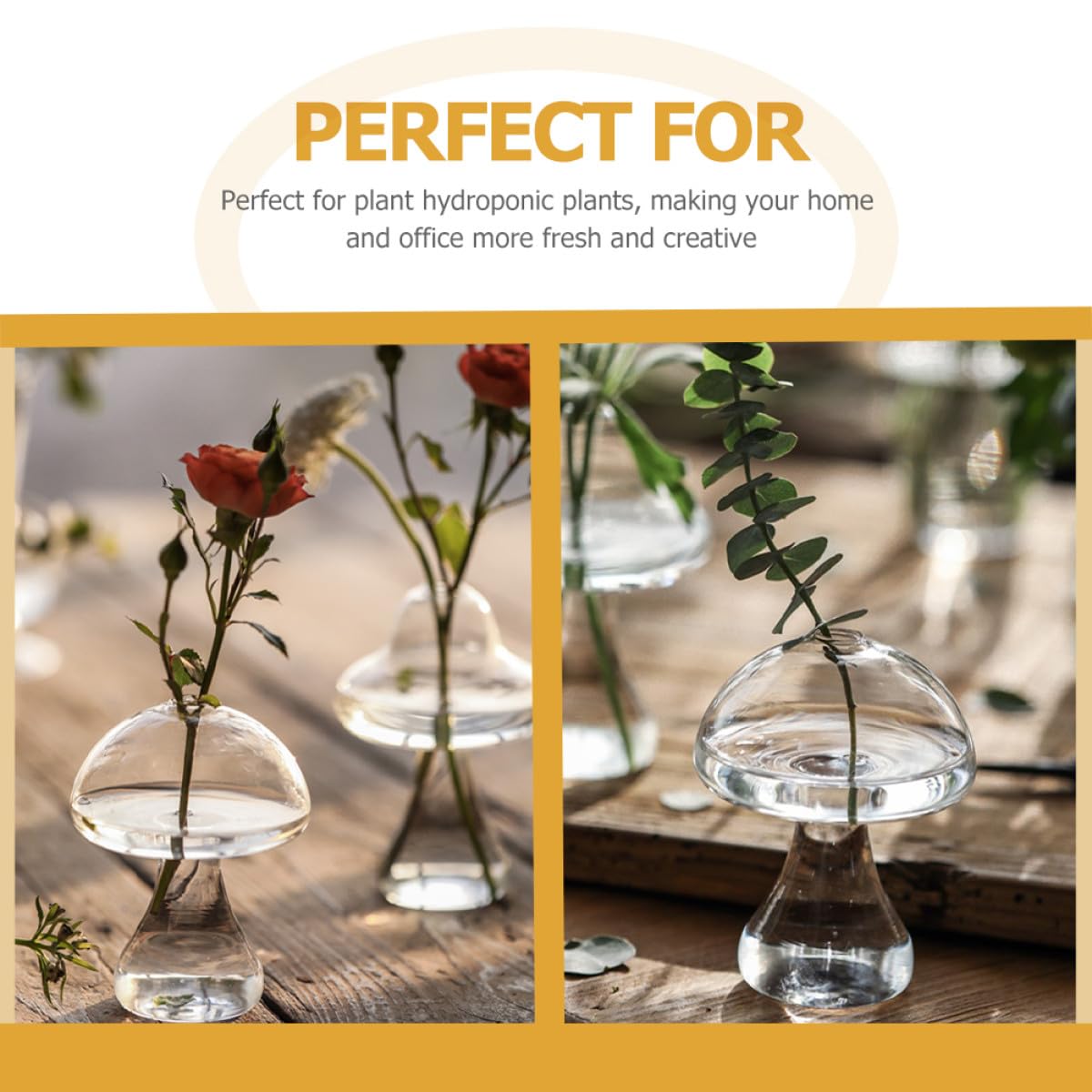 MALUGOGO 2pcs Glass Mushroom Vase Hydroponic Plant Vases Desktop Flower Pot Terrarium for Indoor Home Office Décor